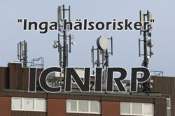 Vad är ICNIRP som bestämmer hur mycket strålning du ska tåla?