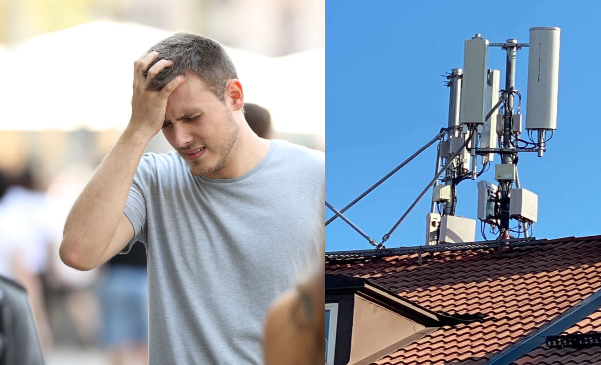 Första djurstudien hittills: 5G skadar nervceller i hjärnan